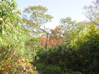 ニセコ長沼 (4)